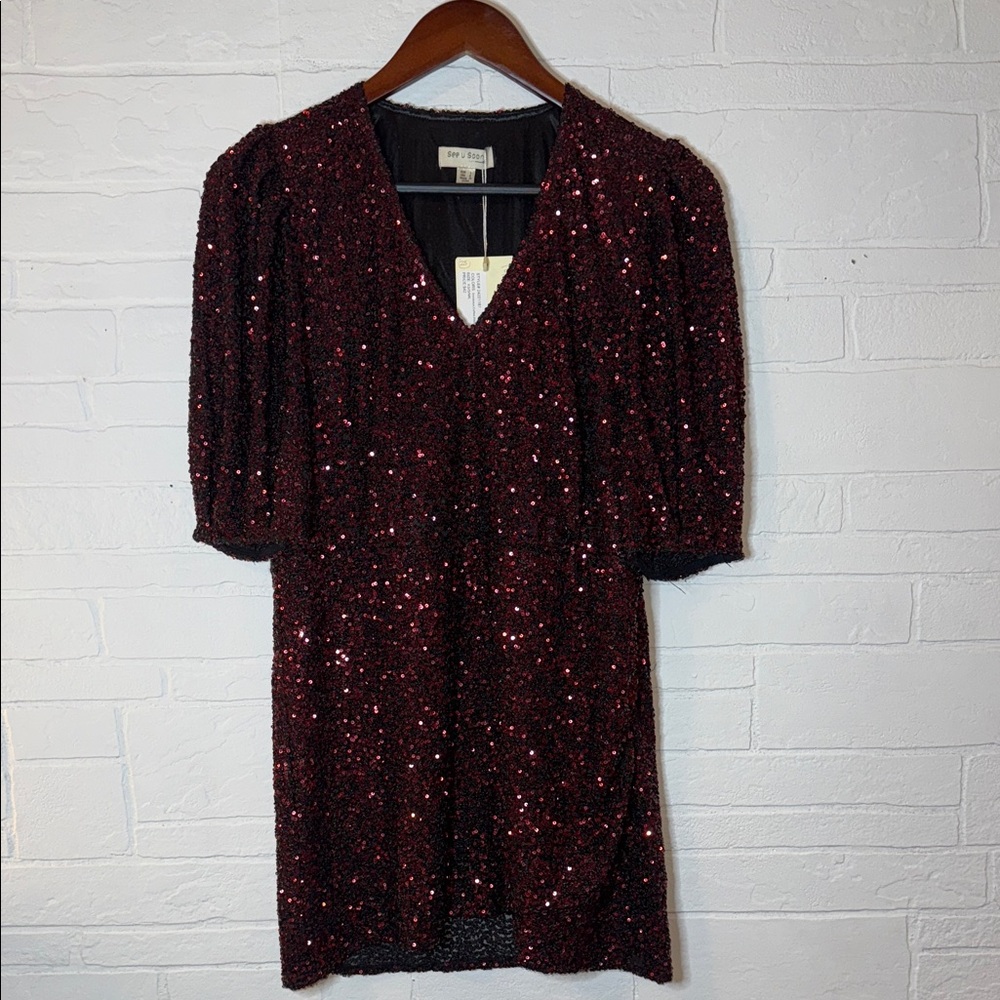 Burgundy Sequin Dress
